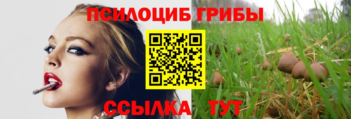 Галлюциногенные грибы мицелий Чусовой
