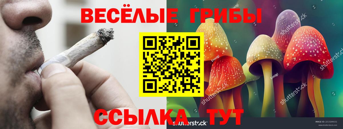 Псилоцибиновые грибы Cubensis Чусовой