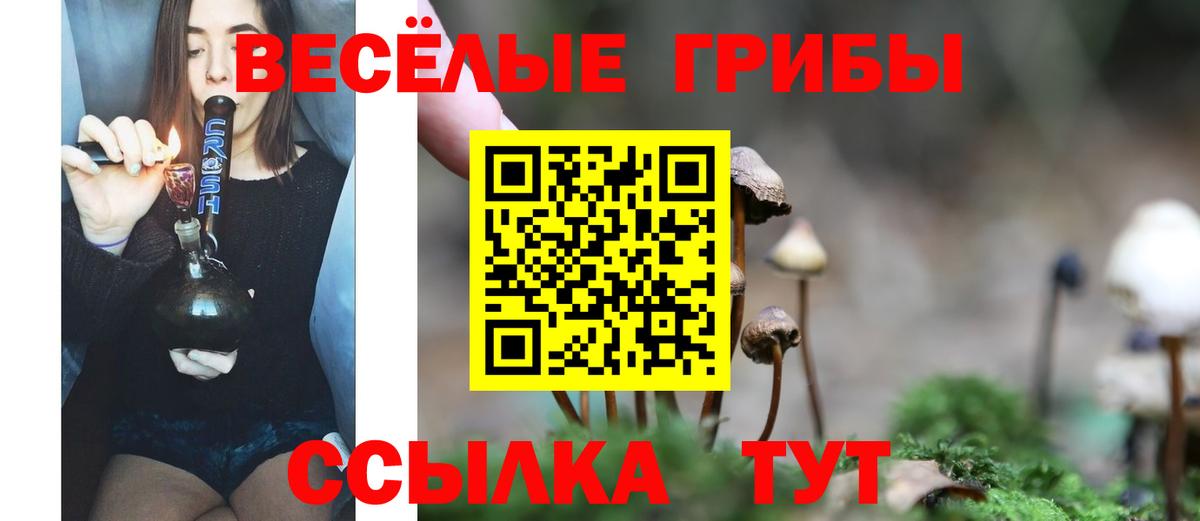 где можно купить   Псилоцибиновые грибы мицелий  Вход с VPN  Чусовой  Псилоцибиновые грибы GOLDEN TEACHER 